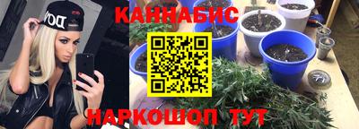 гидра Ливны