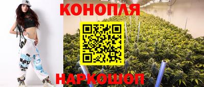 крисы Лесосибирск