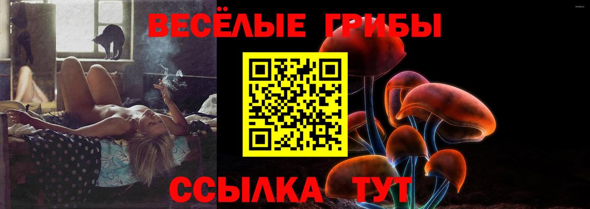 Псилоцибиновые грибы Psilocybe Волгодонск